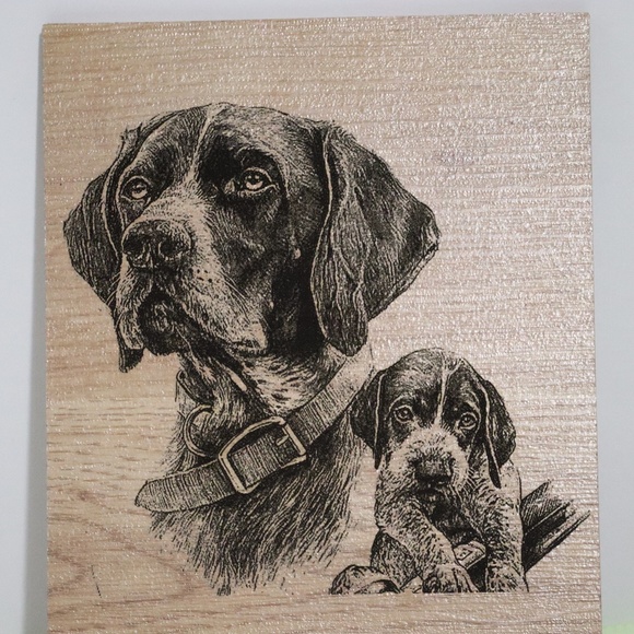 Hunting Dog With Puppy - Picture 3 of 4